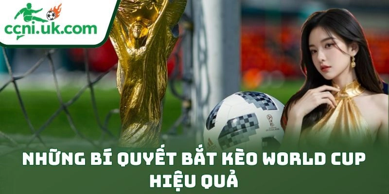 Những bí quyết bắt kèo World Cup hiệu quả
